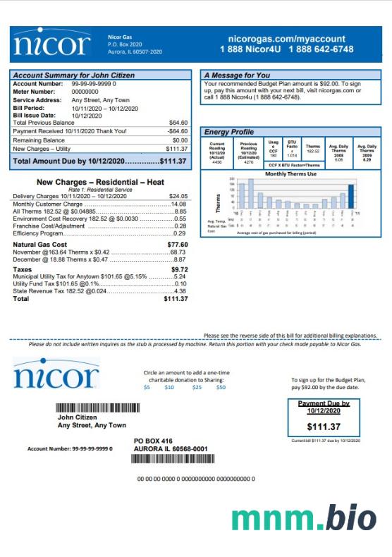 USA Illinois Nicor gas rachunek za media szablon w formacie Word i PDF